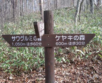 d0080118_21101069.jpg