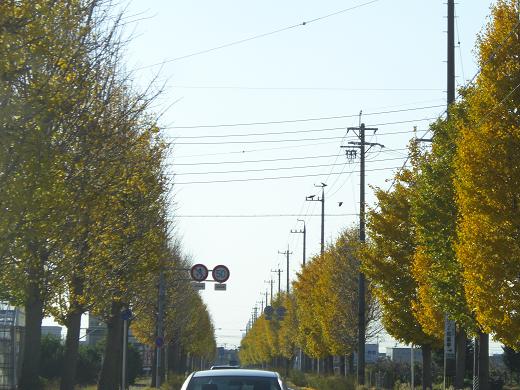 c0005619_87518.jpg