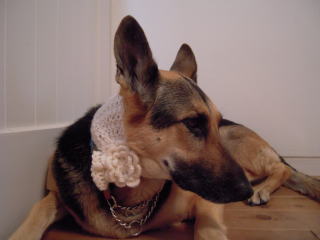 c0090220_15571087.jpg