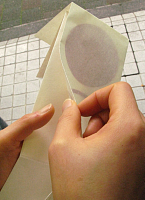 f0197821_16402683.jpg