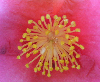 f0036223_20544259.jpg