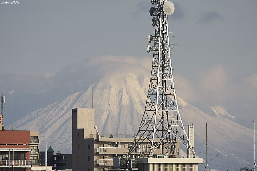 a0104324_4495716.jpg