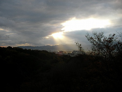 a0020628_10473255.jpg