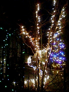 f0002833_23253929.jpg