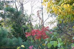 c0134734_045412.jpg