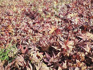f0161834_23455151.jpg