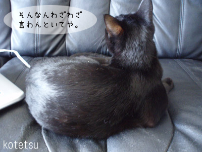 c0132438_22541.jpg