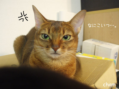 c0132438_2263698.jpg