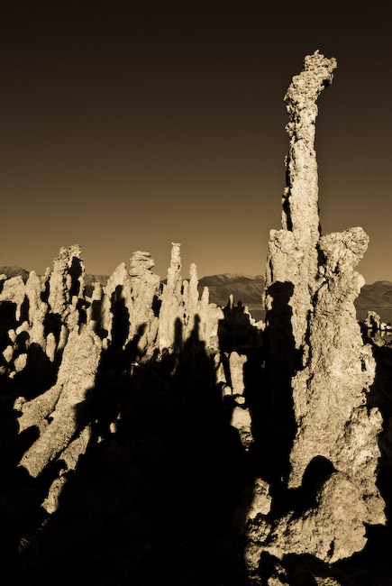 c0157739_16484224.jpg