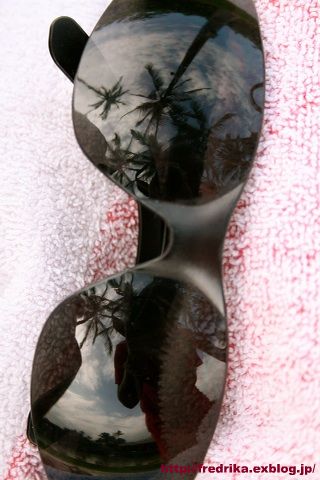 e0129046_4204778.jpg