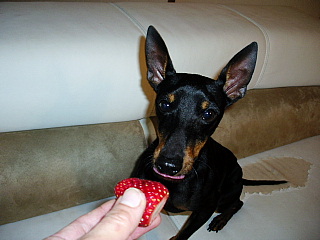 c0123149_23261248.jpg