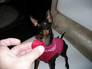 c0123149_23275546.jpg