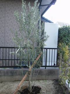 c0178855_17322168.jpg