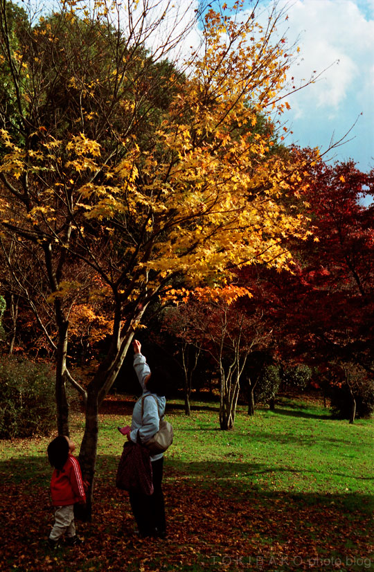 d0100156_20121096.jpg