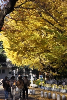b0138661_172013.jpg