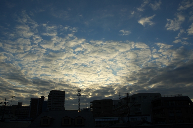 e0155163_1263679.jpg