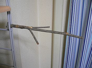 f0196665_23493094.jpg