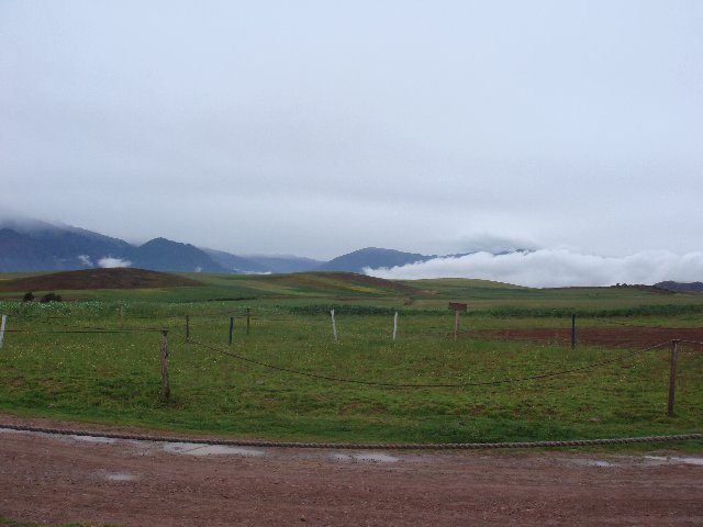 f0160069_194579.jpg