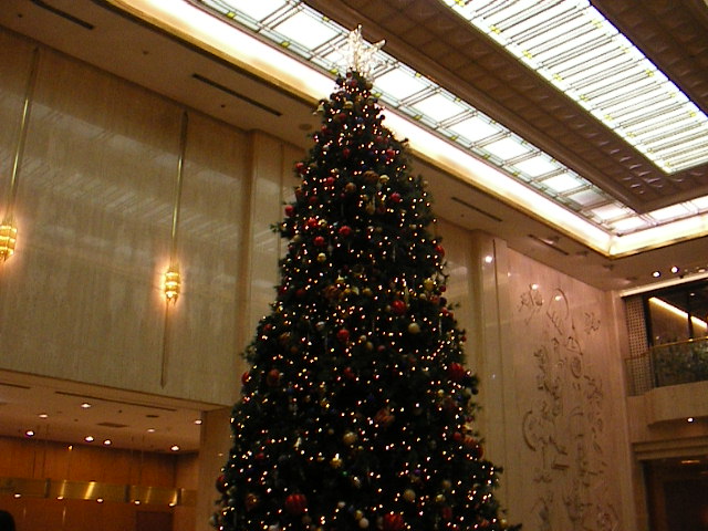 b0109874_1639974.jpg