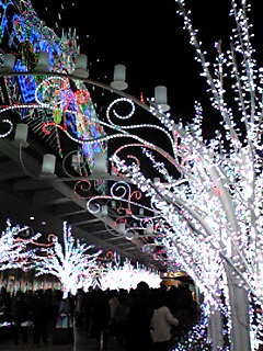 f0124177_23564781.jpg