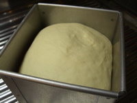 c0164379_0441025.jpg
