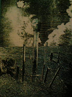 f0100480_2154776.jpg