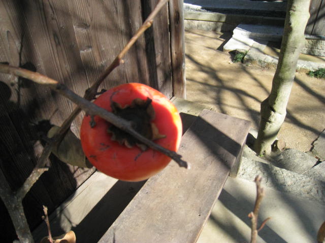 c0134893_22172912.jpg