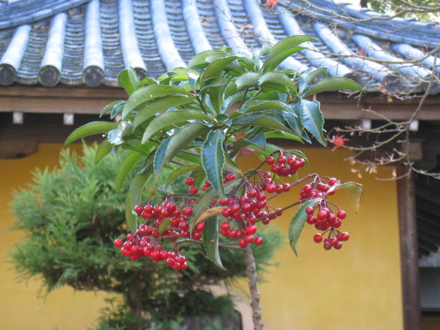 c0134893_22222619.jpg
