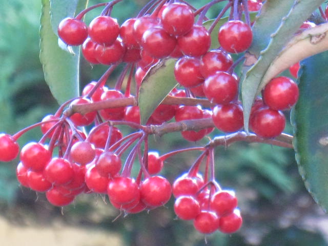 c0134893_2223753.jpg