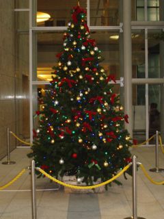 f0130894_22125328.jpg