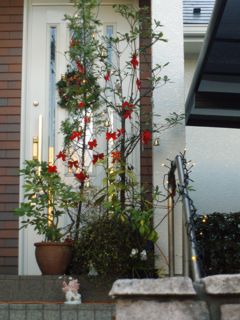 f0130894_22161137.jpg