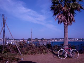 d0010496_15493743.jpg