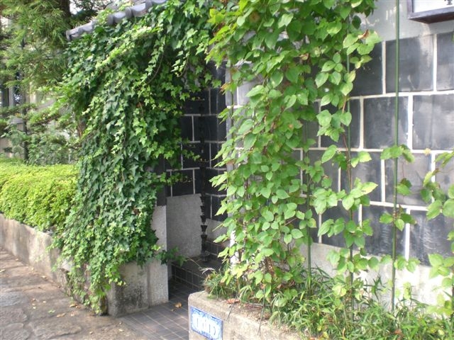 e0161697_75421100.jpg
