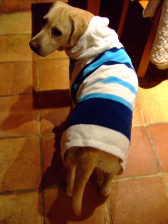 f0001698_2181258.jpg