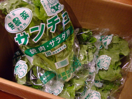 f0001698_2502039.jpg