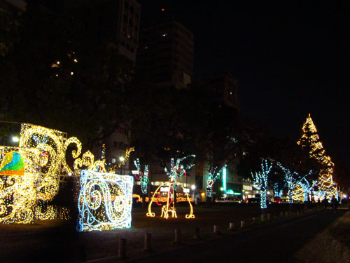 a0047200_105285.jpg
