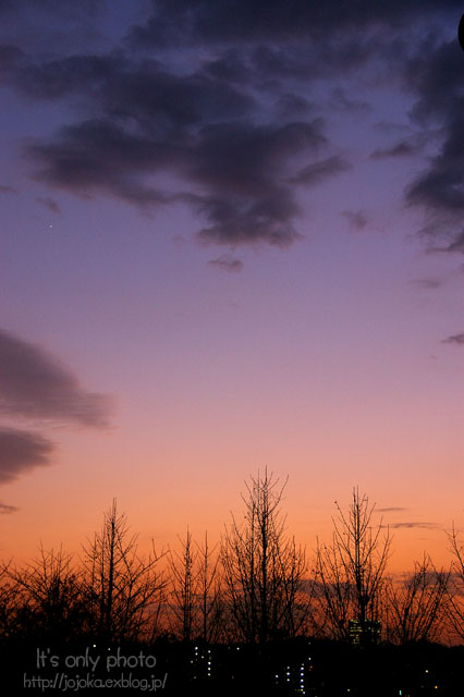 e0008800_15343844.jpg
