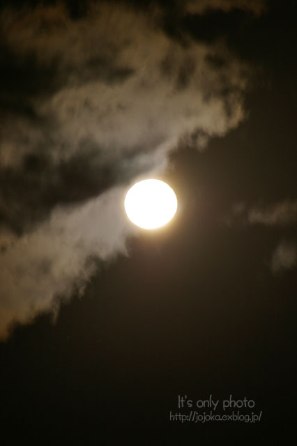 e0008800_1535419.jpg