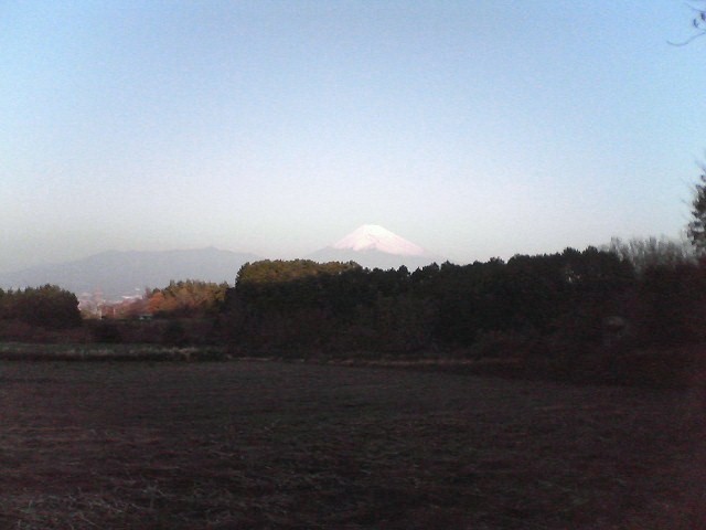 e0015108_214649.jpg