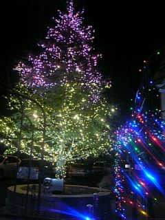 e0098908_22392035.jpg