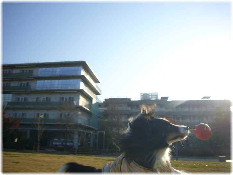 e0130008_19442650.jpg