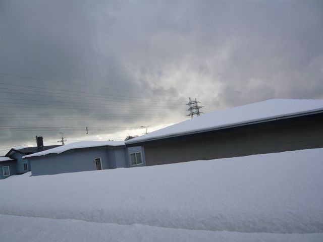 e0111220_1441018.jpg