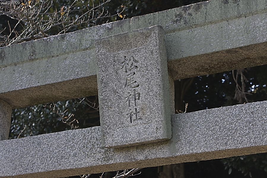 a0104324_4325857.jpg