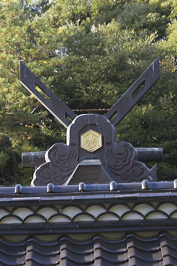 a0104324_4331423.jpg