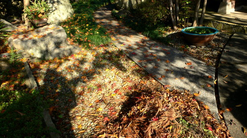 f0060424_0301167.jpg