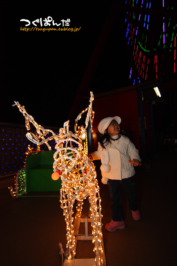 f0153628_2310373.jpg