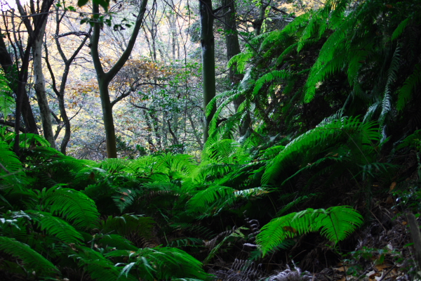 f0140130_9302023.jpg
