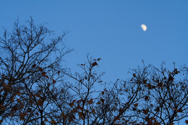 f0140130_9303313.jpg