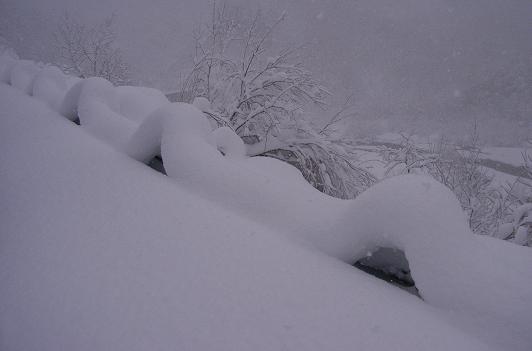 f0118332_12332158.jpg