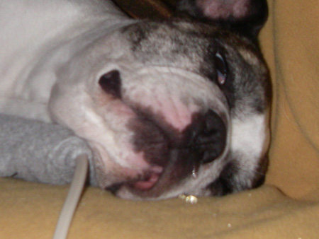 e0008833_14484942.jpg